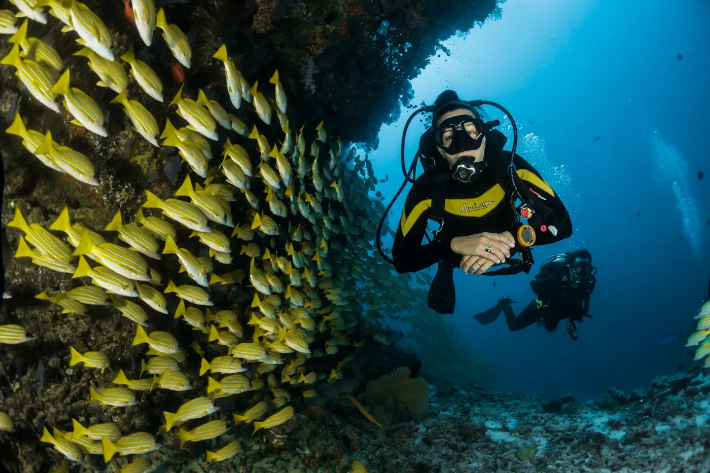 Diver descending into open water